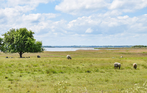 Ferienhaus - Sønderby Strand , Dänemark - E15465 904
