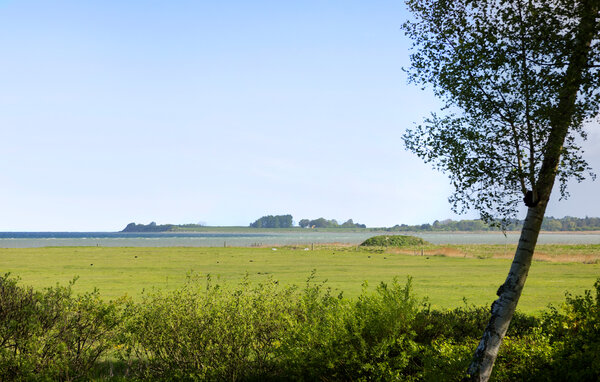 Feriehuse - Orø Strand , Danmark - E16099 201