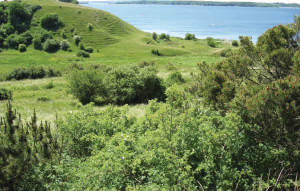 Feriebolig 
