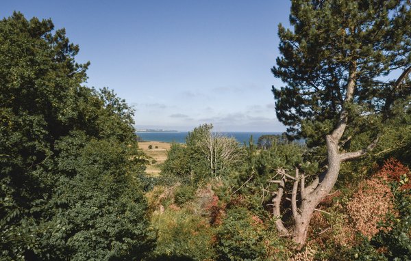 Feriehuse - Klint , Danmark - E17007 201