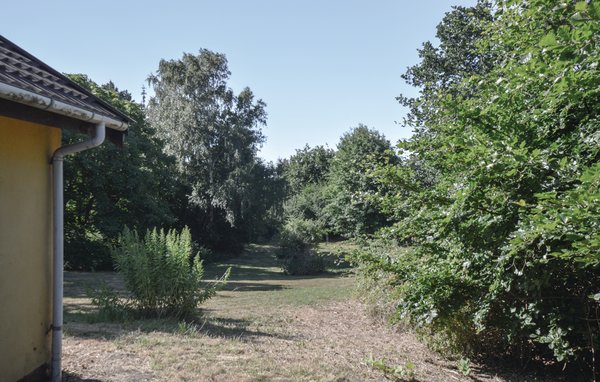 Feriehuse - Klint , Danmark - E17007 202