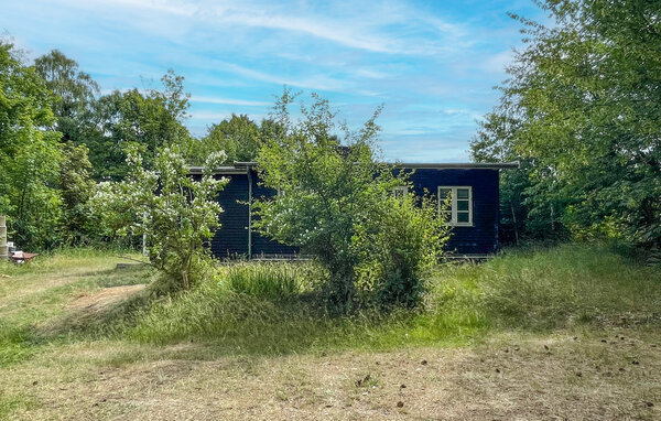 Ferienhaus - Klint , Dänemark - E17224 83