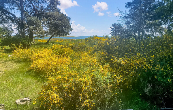 Feriehus - Skansebugten Strand , Danmark - E17703 201