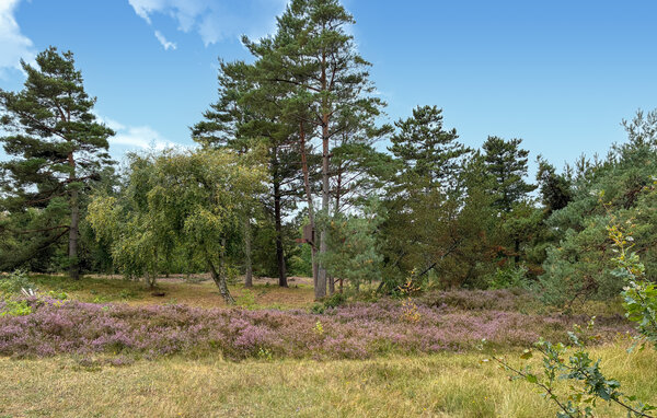 Feriehus - Tengslemark Strand , Danmark - E18009 102