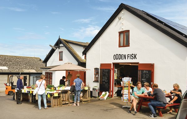 Ferienhaus 