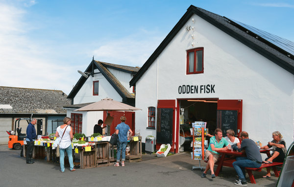 Feriehus - Sjællands Odde , Danmark - E18239 904