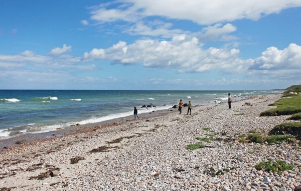 Feriehus - Sjællands Odde , Danmark - E18239 906