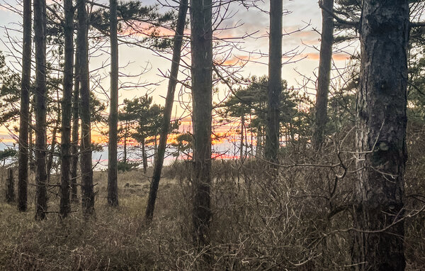 Ferienhaus - Sjællands Odde , Dänemark - E18239 909