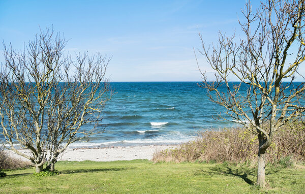 Semesterhus - Overby Lyng Strand , Danmark - E18366 8