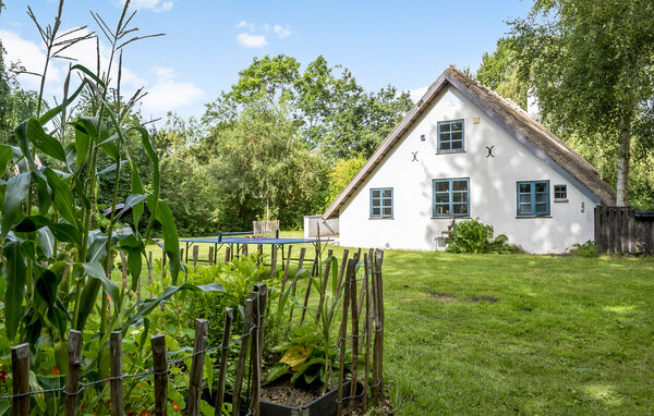 Feriehuse - Sj.Odde/Yderby Lyng , Danmark - E18404 8