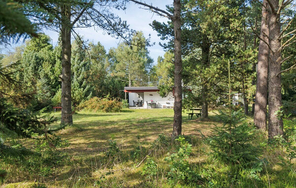 Casa vacanze - Tengslemark Strand , Danimarca - E18814 103