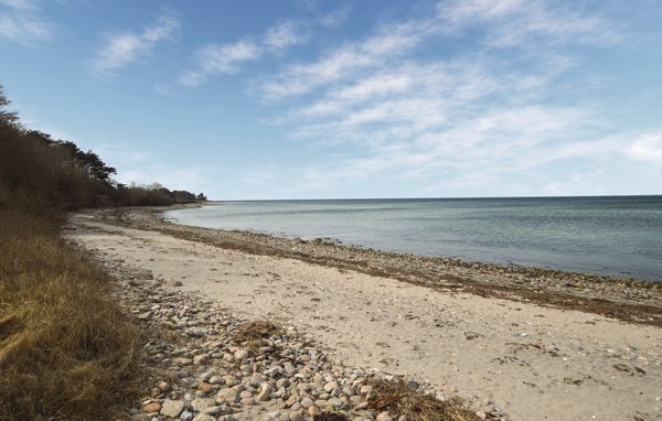 Feriehuse - Veddinge Bakker , Danmark - E19042 901