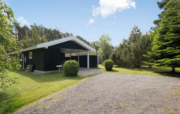 Ferienhaus - Ellinge Lyng, Korevlerne , Dänemark - E19290 81