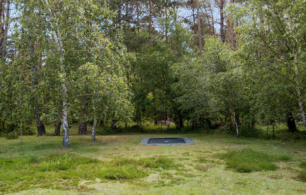 Ferienhaus - Ellinge Lyng, Korevlerne , Dänemark - E19290 105