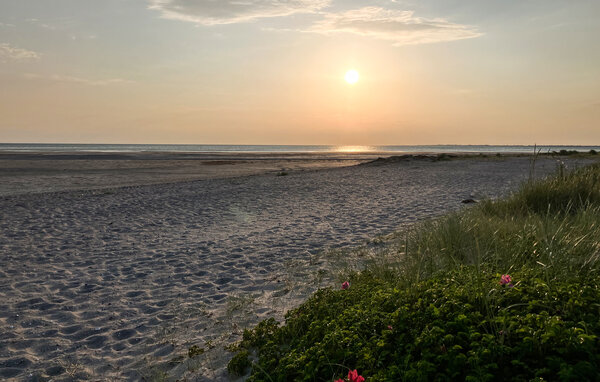 Feriehuse - Ellinge Lyng , Danmark - E19362 902