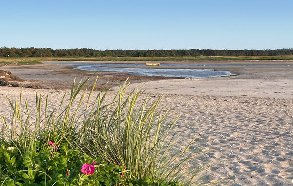 Feriehuse - Ellinge Lyng , Danmark - E19362 903