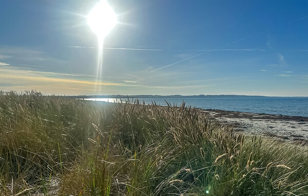 Kuća-za-odmor - Ellinge Lyng , Danska - E19500 903