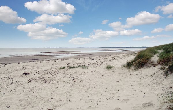 Feriehuse - Ellinge Lyng , Danmark - E19735 901