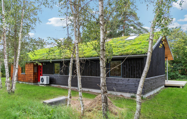 Ferienhaus - Ellinge Lyng , Dänemark - E19768 85