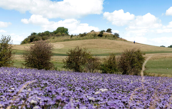 Casa vacanze - Sejerø Strand , Danimarca - E19981 9