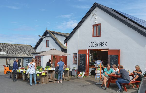 Ferienhaus 