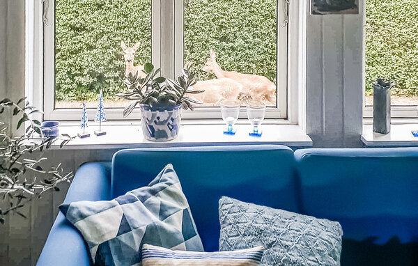 Domy wakacyjne - Kongsmark strand , Dania - E20426 4