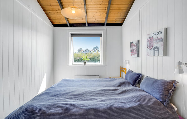 Ferienhaus - Drøsselbjerg , Dänemark - E20488 601