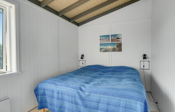 Ferienhaus - Drøsselbjerg , Dänemark - E20488 603