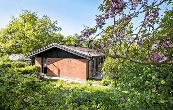 Holiday Home - Mullerup Strand , Denmark - E20925 7