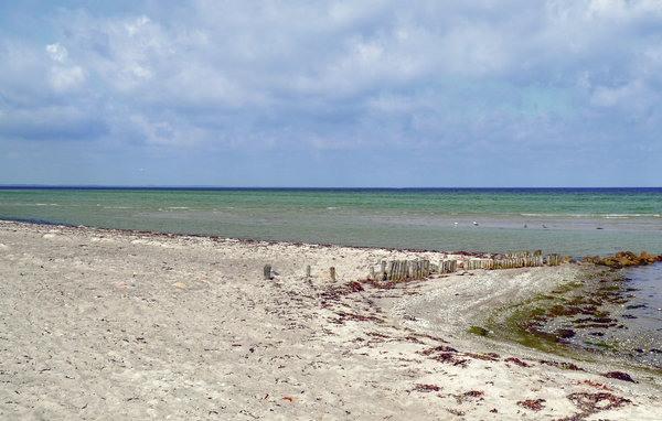 Semesterhus - Fjellerup Strand , Danmark - E5244 903