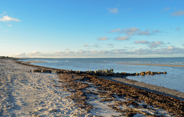 Domy wakacyjne - Fjellerup Strand , Dania - E5658 901