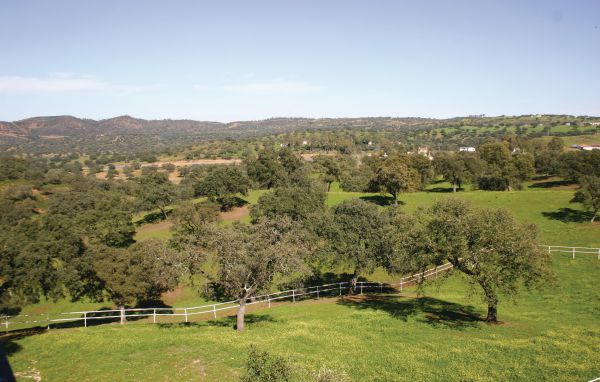 Holiday Home - El Garrobo - Sevilla , Spain - EAC130 902
