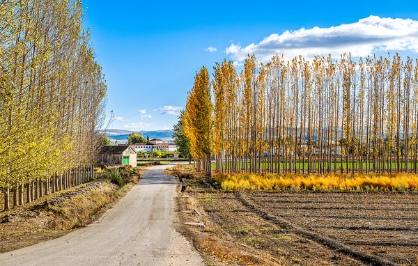 Casa de vacaciones - Granada , España - EAC818 901