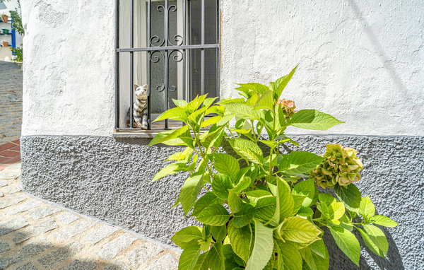 Casa de vacaciones - Jubrique , España - EAG048 101