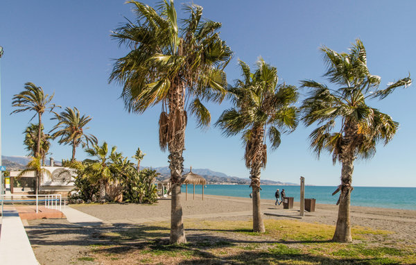 Apartment - Sayalonga , Spain - EAG477 902