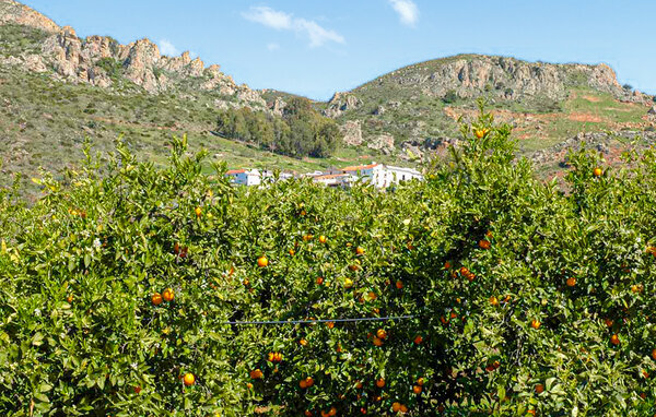 Casa de vacaciones - Almogia , España - EAG901 906