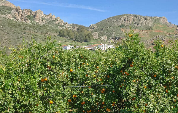 Vakantiehuis - Almogia , Spanje - EAG902 907