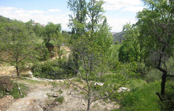 Domy wakacyjne - Laroya , Hiszpania - EAI055 112