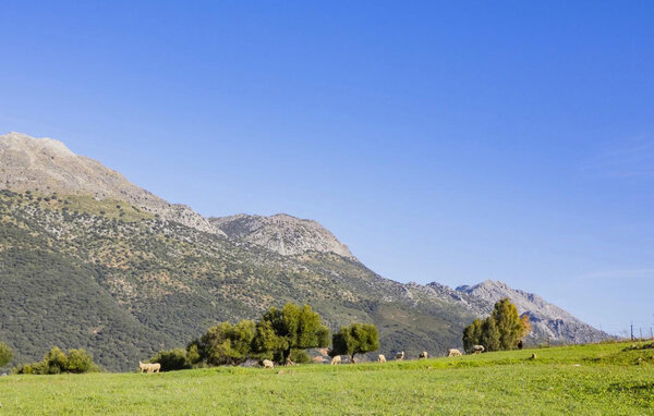 Domy wakacyjne - Jimera de Libar , Hiszpania - EAI080 901