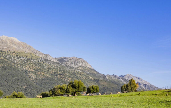 Holiday Home - Jimera de Libar , Spain - EAI081 901