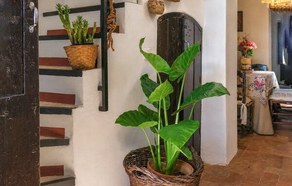 Location de vacances - Gerena , Espagne - EAI100 302