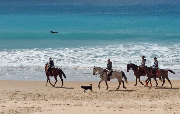 Location de vacances - Chiclana de la Frontera , Espagne - EAL290 905