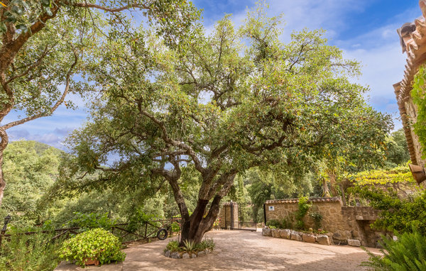 Casa de vacaciones - Algatocin , España - EAS159 101