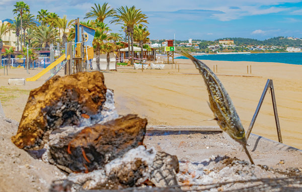 Feriehus - La Cala de Mijas , Spania - EAS503 903