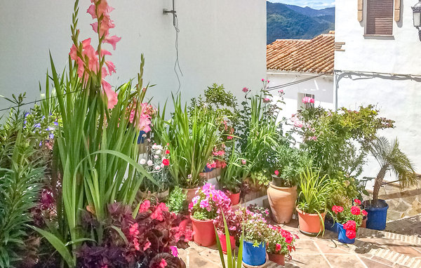 Apartamento - Genalguacil , España - EAS551 101