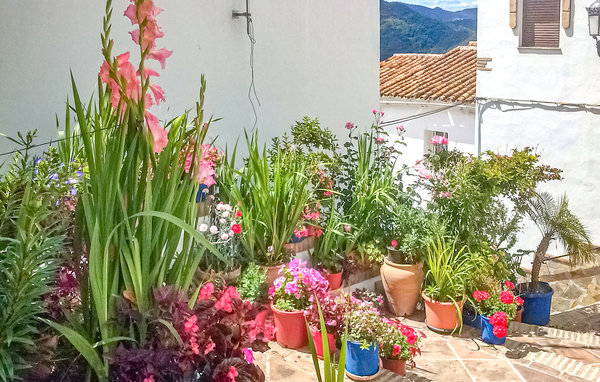 Apartamento - Genalguacil , España - EAS554 101