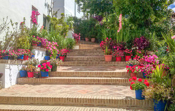 Apartamento - Genalguacil , España - EAS554 102