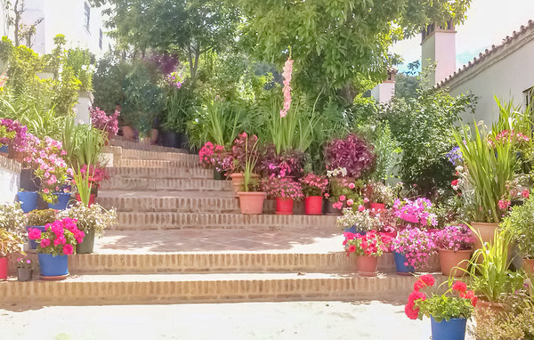 Semesterlägenhet - Genalguacil , Spanien - EAS555 101