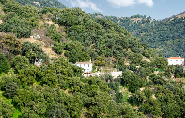 Ferienhaus - Algatocin , Spanien - EAS875 81
