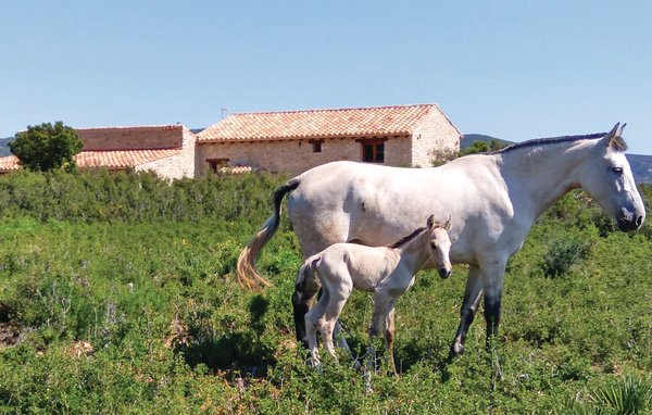 Ferienhaus - La Salzadella , Spanien - EBA035 901